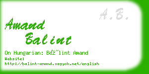 amand balint business card